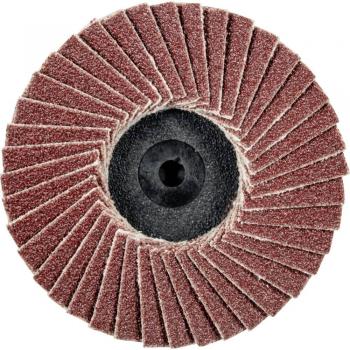 LevigaMini CD 50-80