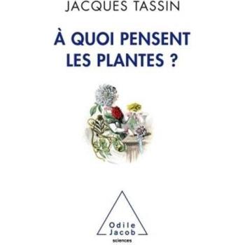 A quoi pensent les plantes ?