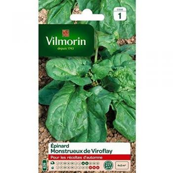 Virmonstré Épinards – Vilmorin