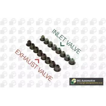 BGA Valve Stem Seal Collection VK2391