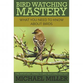 Bird Watching Mastery: What You Need to Know about Birds: The Important Things to Bird Watching Mastery
