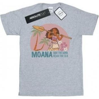Maglietta Donna Moana Leggi il Mare in Cotone
