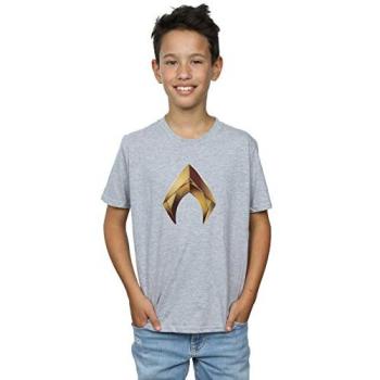 Young Hero Aquaman Grey Tee for 12‑13 Year Olds