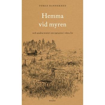 Hemma vid myren : och andra texter om naturen i våra liv