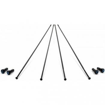 Campagnolo Bora One 50 Delantero 4 Radios