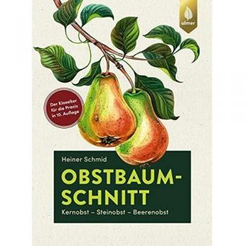 Obstbaumschnitt: Kernobst