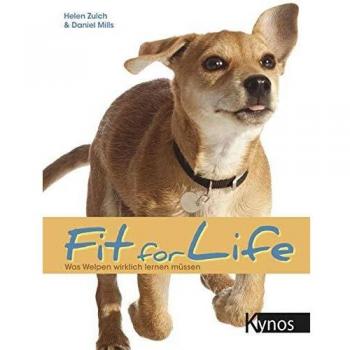 Fit for Life: Was Welpen wirklich lernen müssen