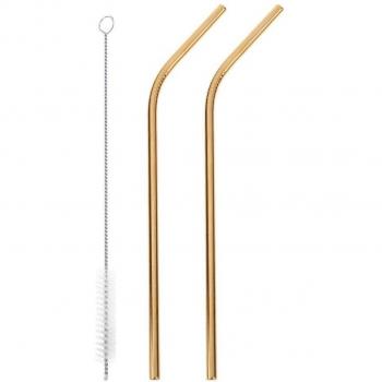 Pailles métalliques réutilisables 3 pièces avec brosses de nettoyage