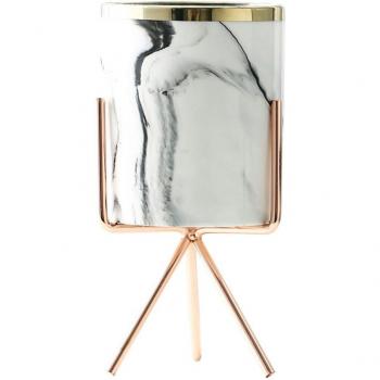 Sleek Desktop Succulent Pot with Gold Frame