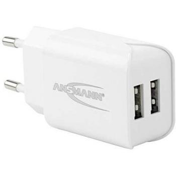 Chargeur Ansmann 1001-0066 USB 5V 2400mA