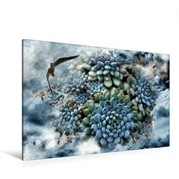CALVENDO Textil-Leinwand Querformat 120×80 cm: Echeveria prolifica + Möwen, Druck von Garrulus glandarius