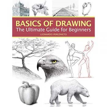 Basics of Drawing : The Ultimate Guide for Beginners