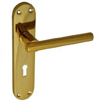 Forge Brass Backplate Handle Secure