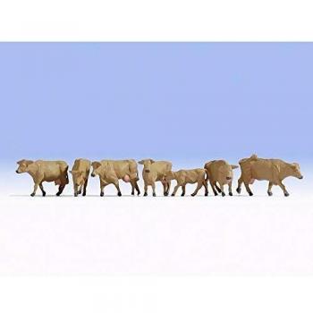 Cows and Calf Collection – 15727