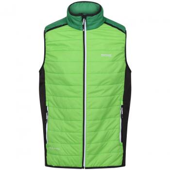 Gilet Halton Vii Verde Jasmine Field S