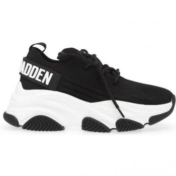 Baskets femme Steve Madden Protégé-E