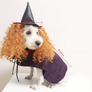 Halloween Dog Costume