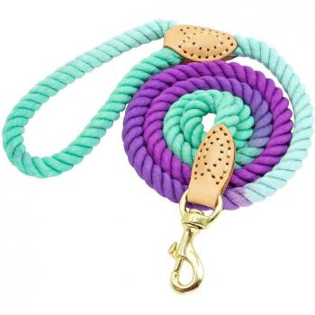 Hochwertige Nylon Leine für Hunde