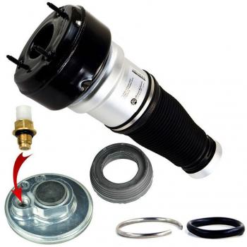 Pneumatico Spring Miessler 164-01-9313