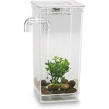 Mini Self-Cleaning Aquarium for Home and Office