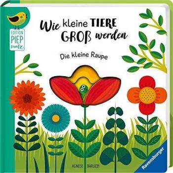 Sandra Grimm Wie Kleine Tiere Groß Werden: Die Kleine Raupe (Edition Piepmatz)