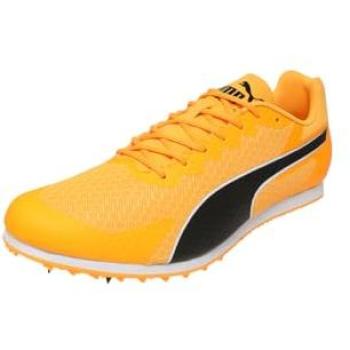 PUMA Dynamique