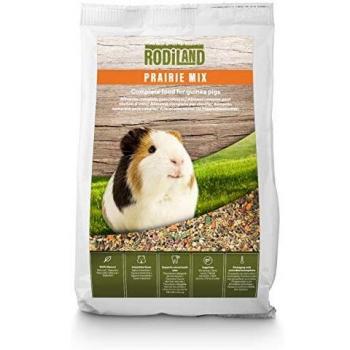 Rodiland Guinea Pig Grass Mix 1kg