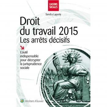Droit du travail 2015 : les arrêts décisifs: L'outil indispensable pour décrypter la jurisprudence sociale.