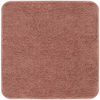 VANZAVANZU Non Slip Bath Mat Square Thickened Bath Rug for Bathroom Absorbent Ultra Soft Bathroom Mat Rug Fluffy Microfiber Bedside Rug Carpet Floor Mat