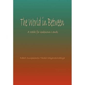 Sungmanitu, Robert: World in Between