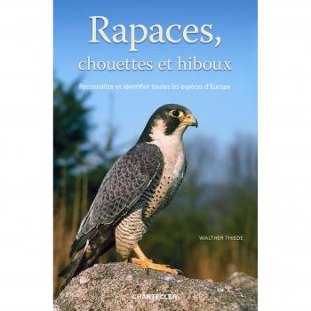 Rapaces, chouettes et hiboux : Reconnaître et identifier toutes les espèces d'Europe