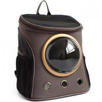 Éspace Portable Chat Chien