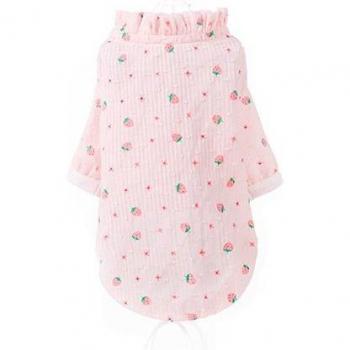 Transparent Summer Pet Coat for Teddy Dogs