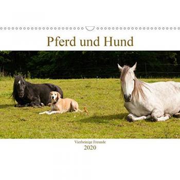 Pferd und Hund