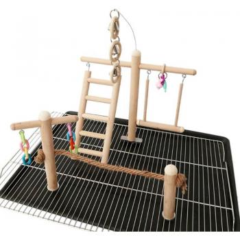 Bird Perch and Play Gym for Parakeets