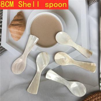 European Style Conch Shell Spoon