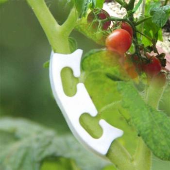 50Pcs Garden Plant Retaining Clips