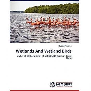 Wetlands And Wetland Birds