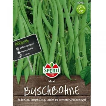 Sperli Maxi Buschbohne