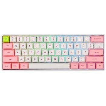 EPOMAKER SKYLOONG SK61 61 Keys Hot Swappable Mechanical Keyboard with RGB Backlit, NKRO, IP6X Waterproof, Type-C Cable for Win/Mac/Gaming (Gateron Optical Blue)
