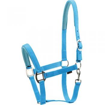 NylonStride Turquoise Horse Guard