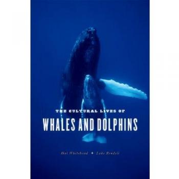 Cultural Lives of Whales and Dolphins