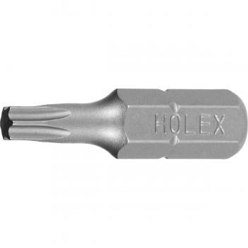 Confezione 100 Bit Torx 1/4 Holex