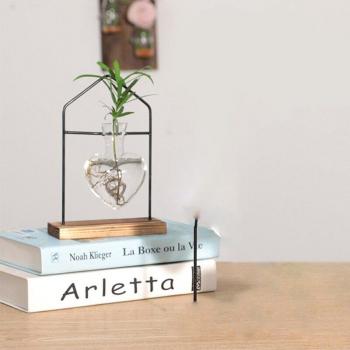 Transparent Hydroponic Flower Arrangement Vase