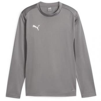 Puma teamGOAL Sweatshirt Kids Grau F13 164