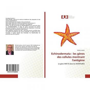 Echinodermata : les gènes des cellules montrant l'antigène: Le gène HNF1A dans les INVERTURES