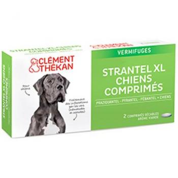 Strantel XL vermifuge chiens
