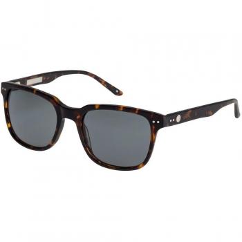 Sonnenbrille für Herren – Quiksilver Brixton Tortoise