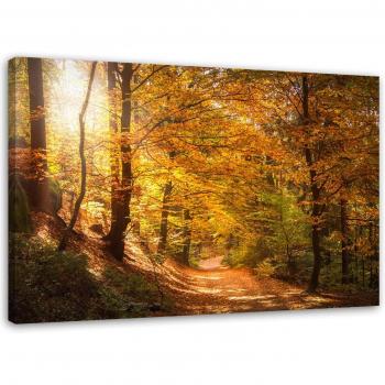 Cuadro Bosque Otoño 60x40
