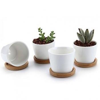 Set di 4 Vasi per Cactus con Vassoio in Ceramica 6.5CM